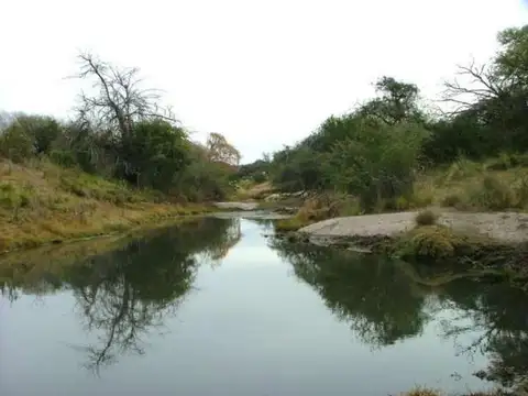 Palo Azul