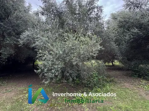 Terreno en Villa De Las Rosas