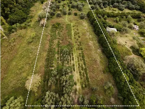 Terreno en Villa De Las Rosas