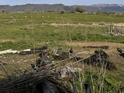 Terreno en Venta de 8000,0 m2