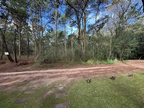 Terreno en Venta en Carilo, USD 120.000