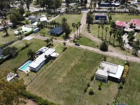 Av. Ernesto Gallardo 1