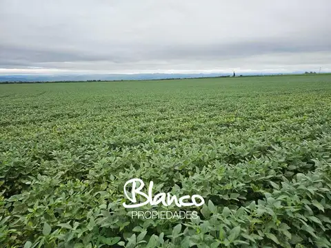 JUAN A PRADERE - BUENOS AIRES -