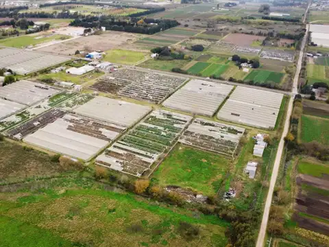 Campo en Arana