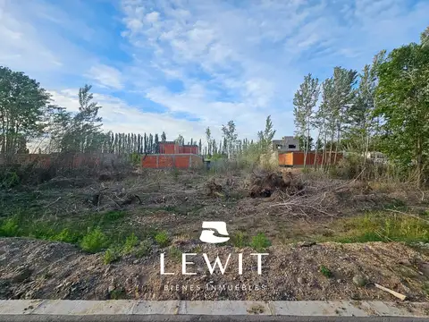 Terreno en Venta 30  mts Fondo