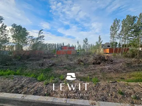 Terreno en Venta 10  mts Frente