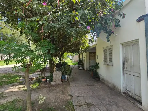 Calle 110 1000