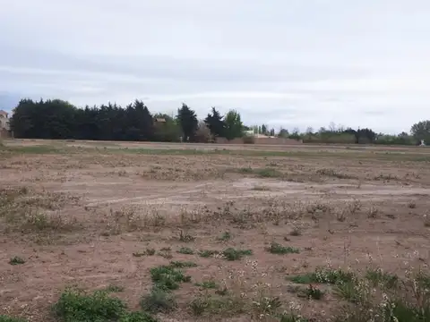 Terreno en Venta de 750,0 m2