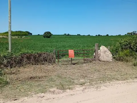 6 hectáreas en Rincon del Doll