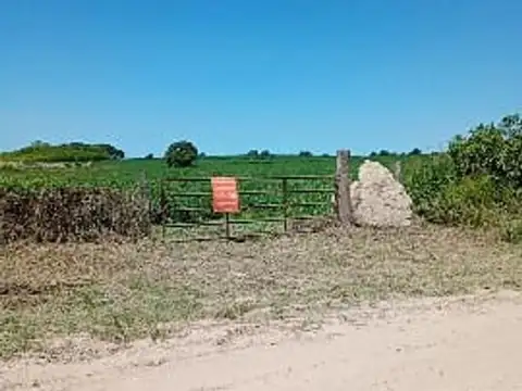 6 Hectáreas En Rincon Del Doll