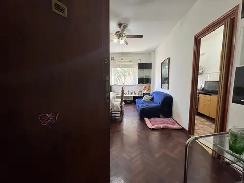 Virrey del pino  al 1500