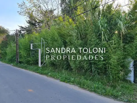Terreno en Venta de 10000,0 m2