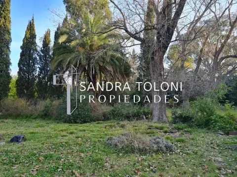 VENTA DE HECTÁREA URBANA EN ALEJANDRO KORN