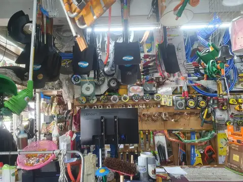 Joaquin V Gonzalez 1700