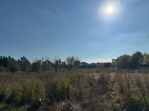 VENTA CAMPO 8,5 HECTAREAS, RUTA 25 PILAR