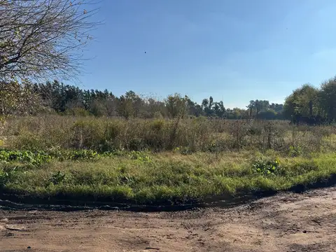 VENTA CAMPO 8,5 HECTAREAS, RUTA 25 PILAR