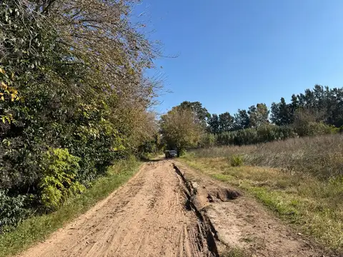 VENTA CAMPO 8,5 HECTAREAS, RUTA 25 PILAR