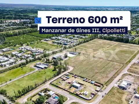 Terreno en venta, Manzanar de Gines 3, Cipolletti
