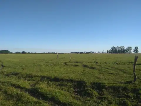 Campo en Venta de 116  ha