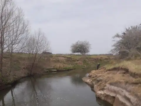 Campo en Venta de 116  ha