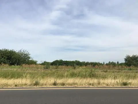 Ruta 6 - Open Door - 18 hectareas