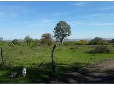 Lotes Linderos A Las Termas, Excelente Vista Al Rio