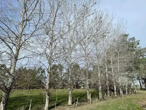 Terreno en Venta de 435,0 m2