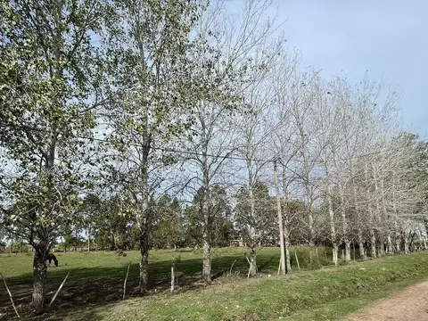 Terreno en Venta en Melchor Romero, USD 50.000