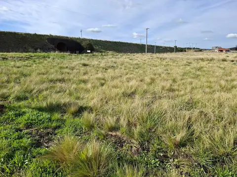 Terreno en Venta 44  mts Fondo