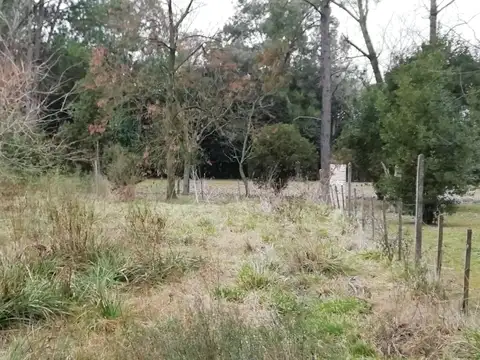 Dos lotes de 4500 m2 cada uno, total 9000 m2.