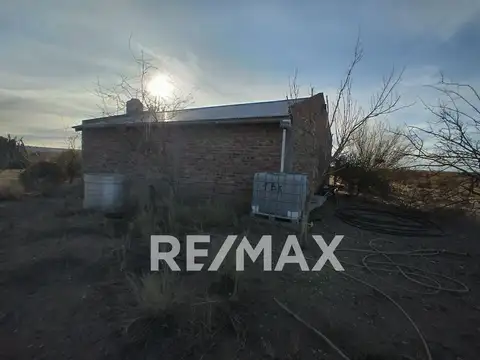 VENTA CHACRA 10 HECTAREAS CON CASA EN SENILLOSA