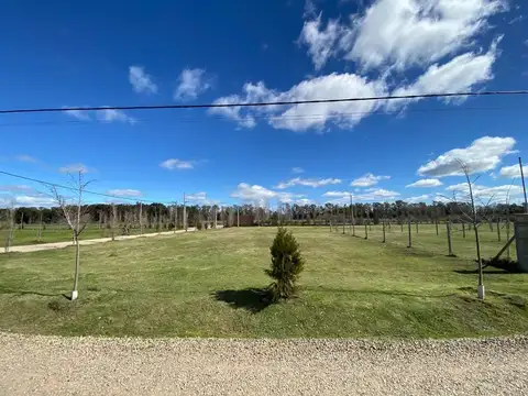 LOTE EN VENTA EN ESTILO CAMPO CANNING
