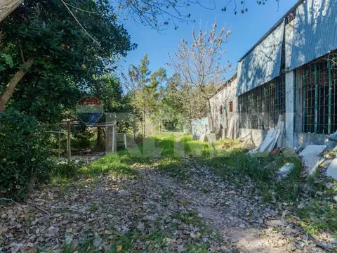 Camino Quesada 52400