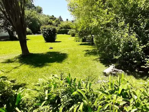 Terreno Carumbé 804m2 Parquizados