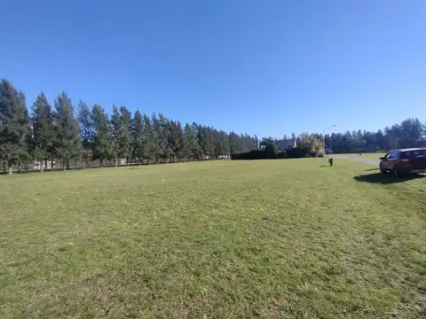 Terreno en Venta 35  mts Fondo