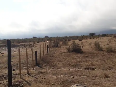 Almudena, Tafi del Valle