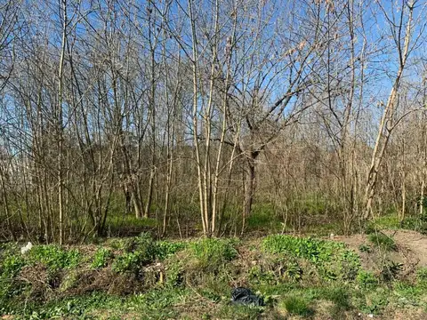 Lote en Venta en City Bell, en calle 450 e/ 28 y 28 bis. Lote propio N°24 con una superficie tot...