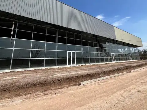 Jose Maria Rosa 8051