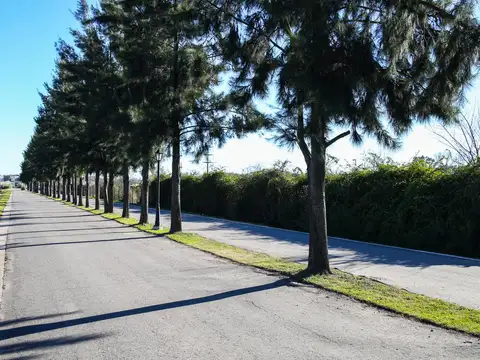 Terreno en Venta de 388,0 m2