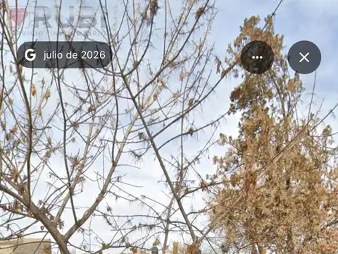 Terreno en Alquiler 33  mts Fondo