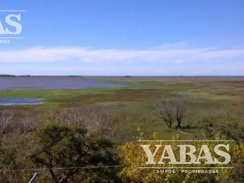 VENTA - CAMPO - 3 HECTAREAS - San Pedro (Bs.As)