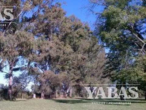 VENTA - CAMPO - 3 HECTAREAS - San Pedro (Bs.As) - VUELTA DE OBLIGADO