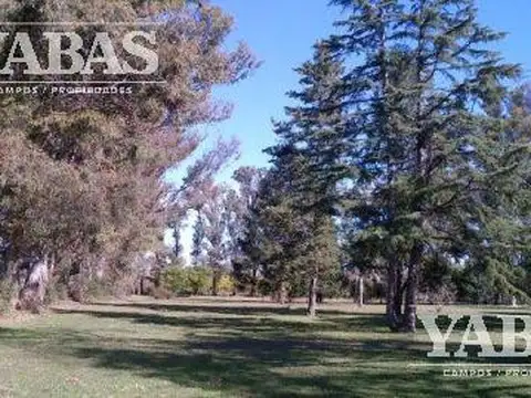 Campo en Venta en San Pedro, Partido de San Pedro