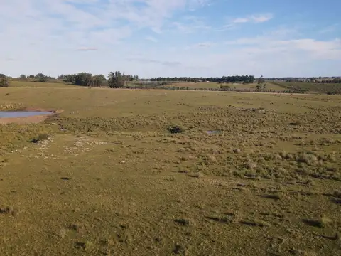 Chacras en venta de 5 ha en partido norte, Maldonado.