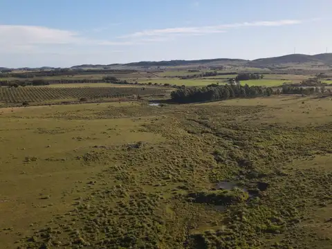 Quinta en Venta en Aigua, USD 85.000