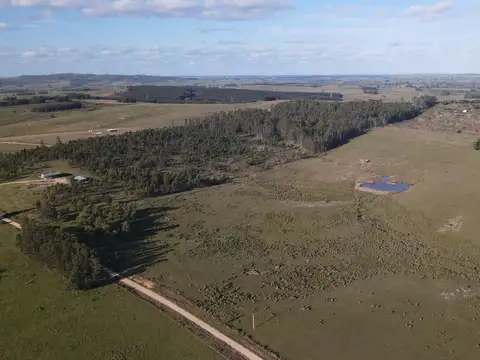Chacras en venta de 5 ha en partido norte, Maldonado.