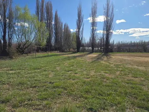 Terreno en Venta de 50000,0 m2