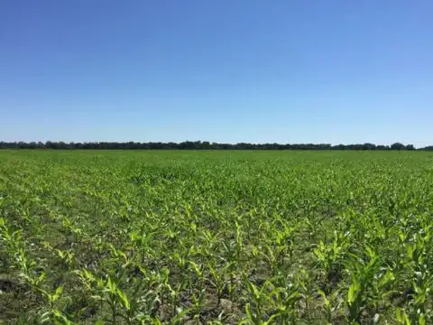 Zona Capivara Ruta provincial  4