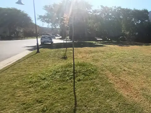 Nordelta - Tipas 100