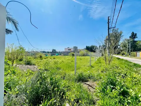 Ntra Sra del Pilar Juan Hipolito Vieytes 100